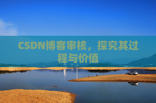 CSDN博客审核，探究其过程与价值